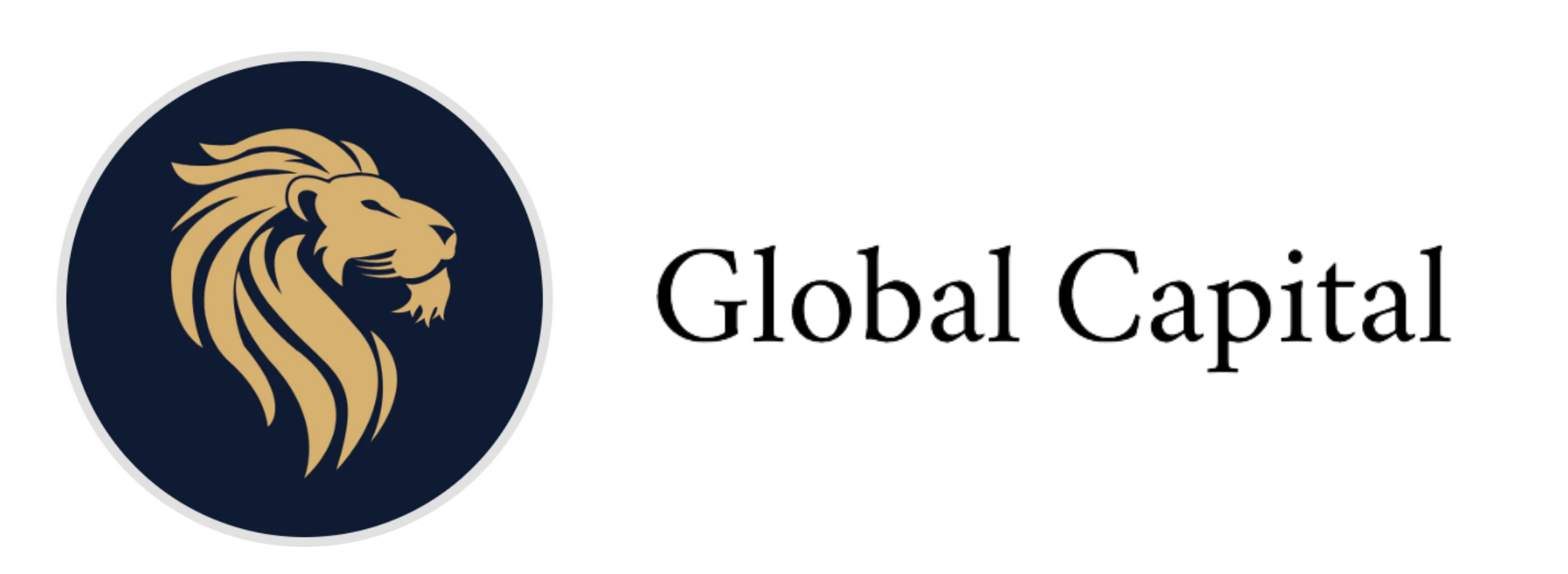 Global Capital_qsgdr