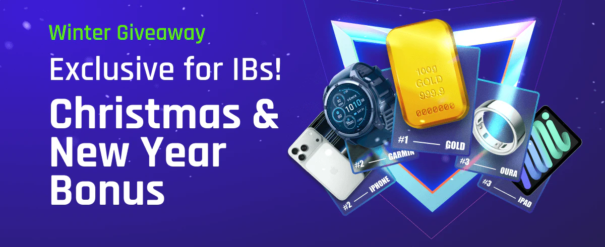 Blog-ibnewsletter-wg25-EN_vhzrd